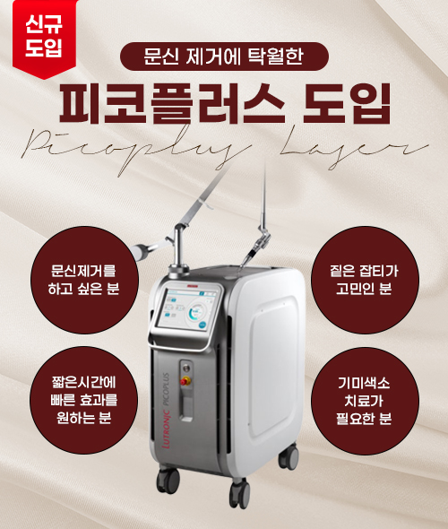 피코플러스 도입